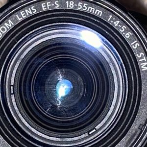 Meet your Posher, Teddy